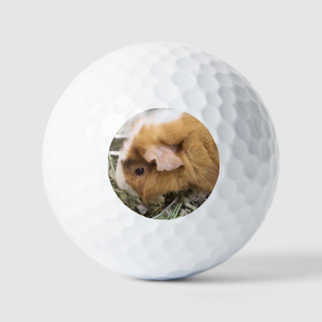Balles De Golf Piggy (Recto)