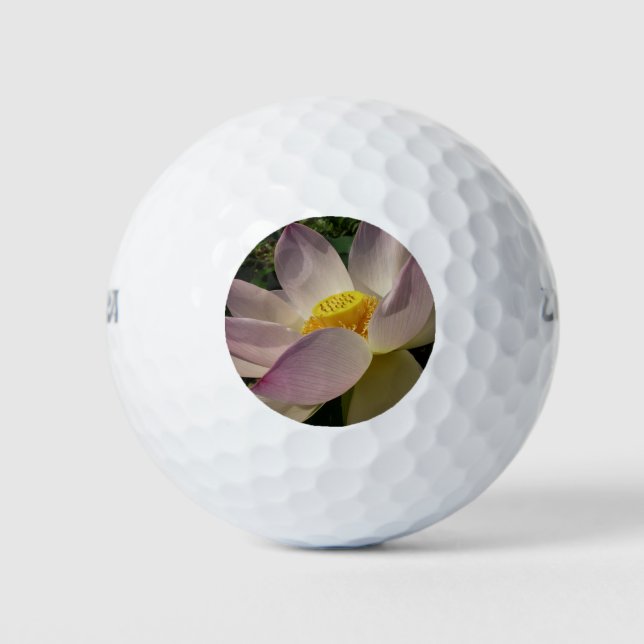 Balles De Golf Pink Lotus Flower III Summer Floral (Devant)