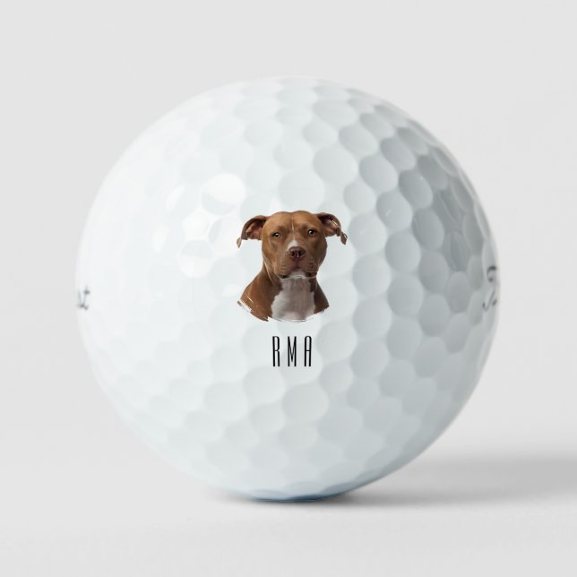 Balles De Golf Pitbull (Recto)