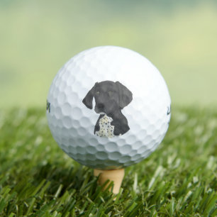 Balles De Golf Pointeur noir et blanc allemand