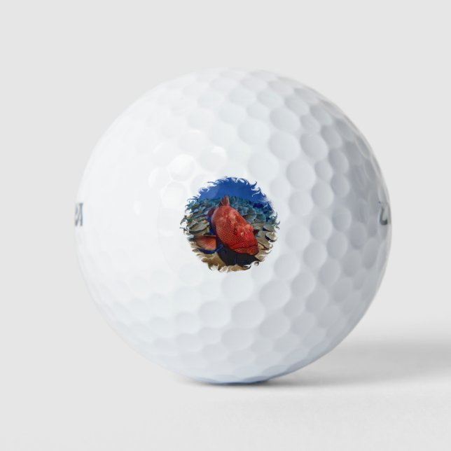 Balles De Golf Poisson De Groupement Sur Corail (Devant)