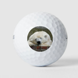 Balles De Golf Polar_Bear_2015_0301