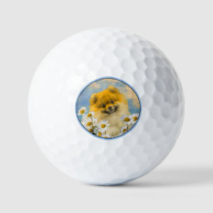 Balles De Golf Poméranie dans la peinture des pâquerettes - Art d