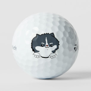 Balles De Golf poméranien tri colore qui regarde