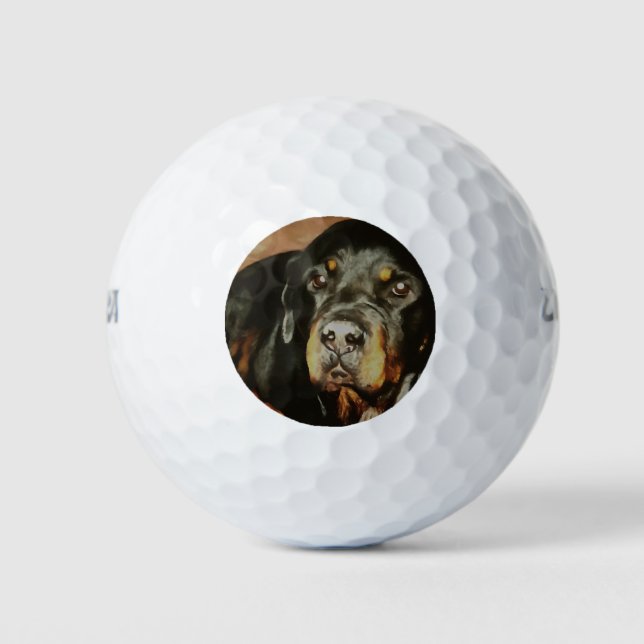 Balles De Golf Portrait de Lover Pet (Devant)