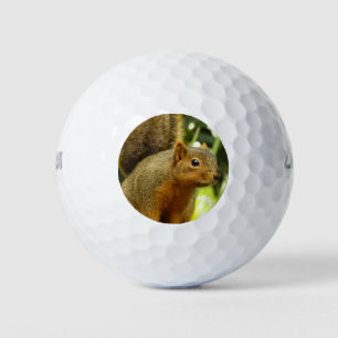 Balles De Golf Portrait d'un écureuil Nature Animal Photographie