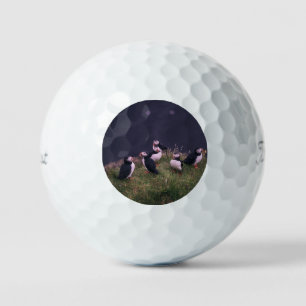 Balles De Golf Puffins de l'Atlantique