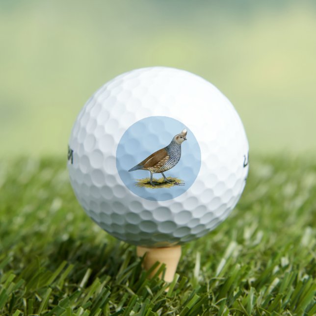 Balles De Golf Quail à échelle (T-shirt Insitu)