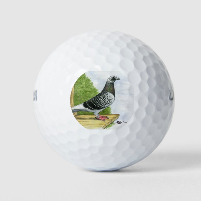 Balles De Golf Racing Homer sur le Landing Board (Devant)