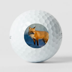 Balles De Golf Renard Brown