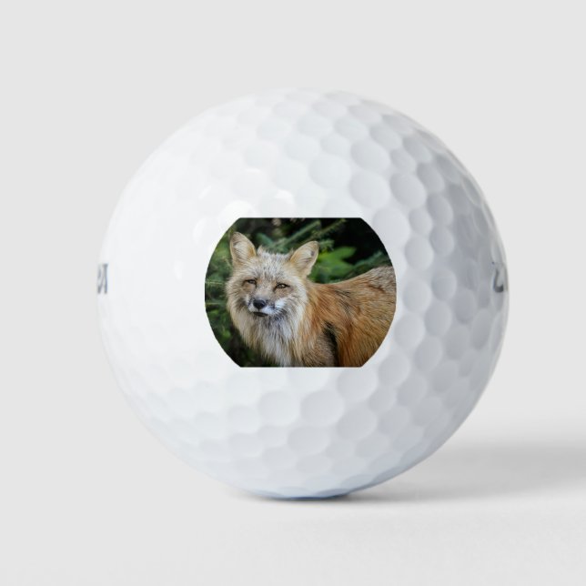 Balles De Golf Renard sauvage (Devant)
