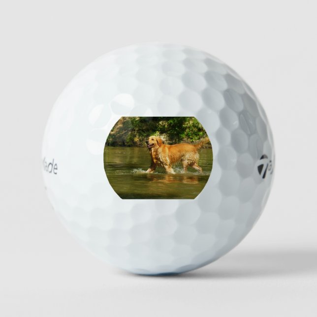 Balles De Golf retriever-doré dans l'eau (Recto)