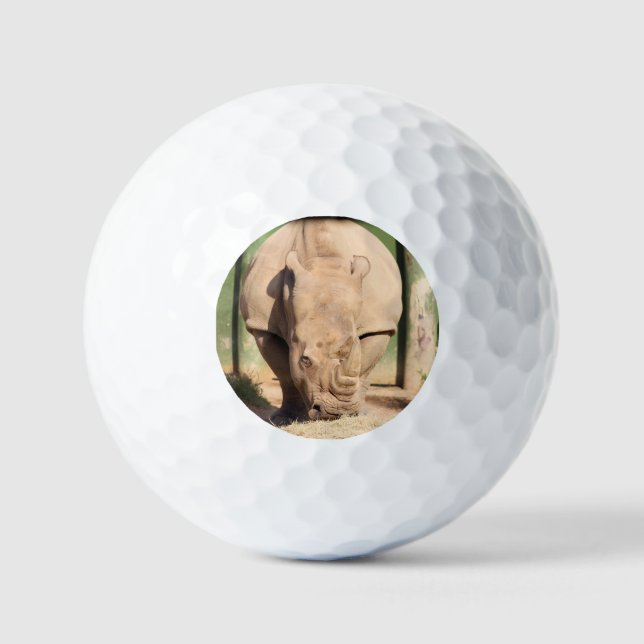 Balles De Golf rhinocéros blanc (Recto)