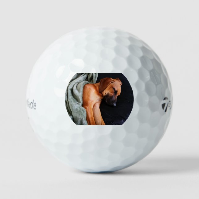 Balles De Golf rhodesian-ridgeback-snuggy (Recto)
