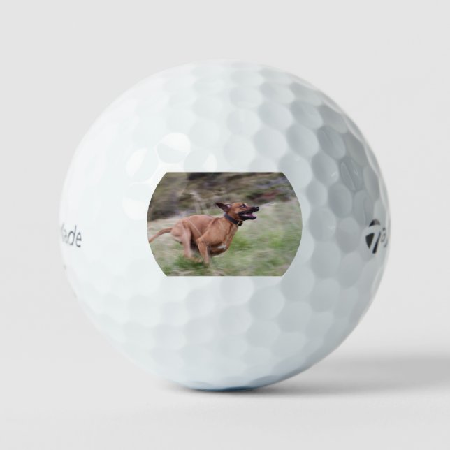 Balles De Golf ridgeback courant 2 (Recto)