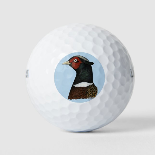Balles De Golf Ringneck Pheasant Head (Devant)