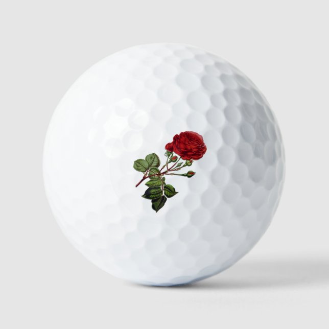 Balles De Golf Rose Red Long Stem (Recto)