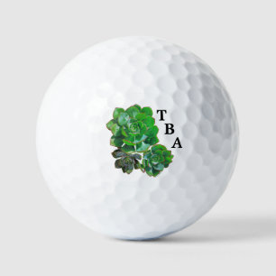 Balles De Golf Rosette Succulents Golf Balls