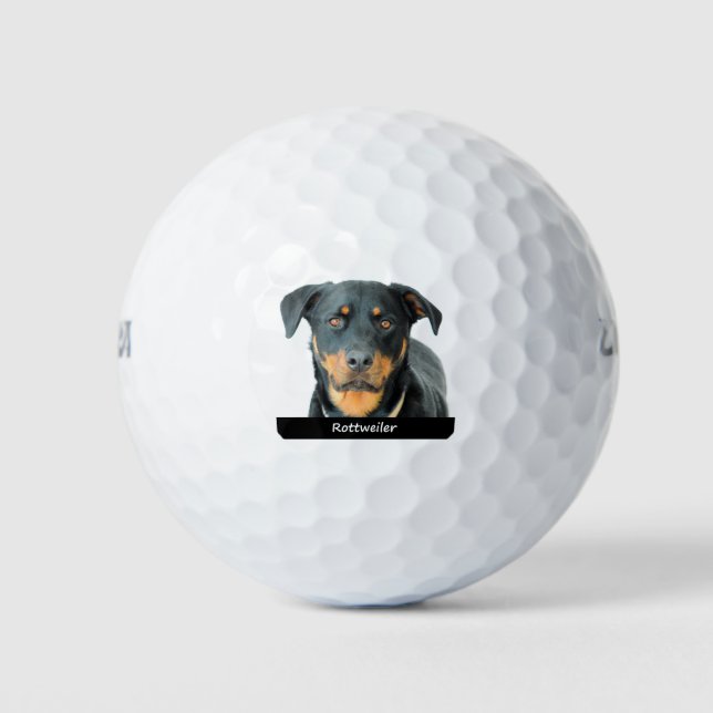 Balles De Golf Rottweiler (Devant)