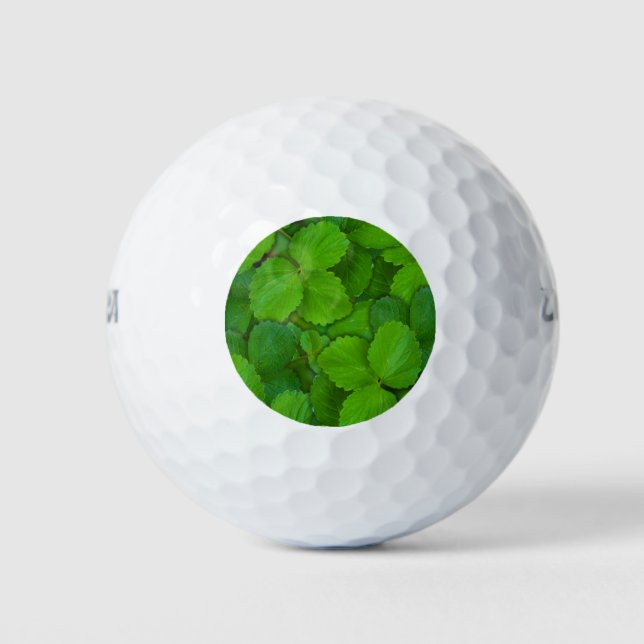 Balles De Golf Saint Basil Tulsi Green Mint Feuilles (Devant)