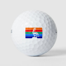 Saint-Pétersbourg, Floride