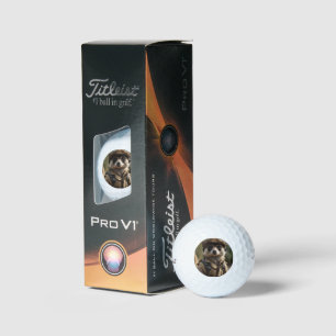 Balles De Golf Saluer Silvester la suricate : l'histoire d'un vét