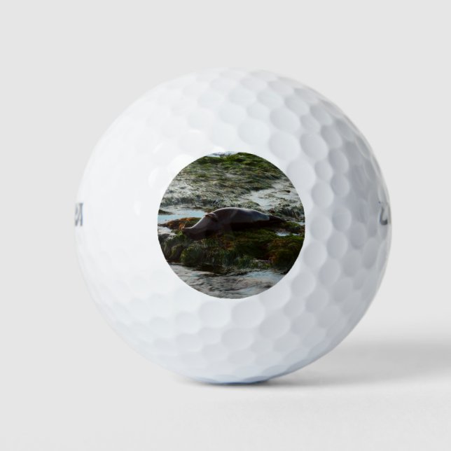 Balles De Golf Sceau du port de Sunset Lit II à San Diego (Devant)