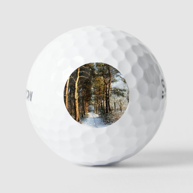 Balles De Golf Scène de neige de la forêt ssf gbcna (Recto)
