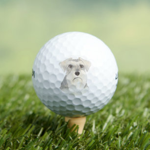 Balles De Golf Schnauzer blanc et gris