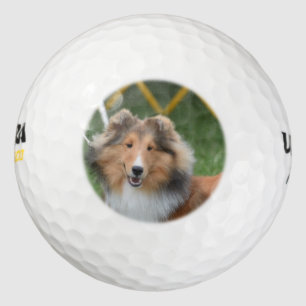 Balles De Golf Sheltie