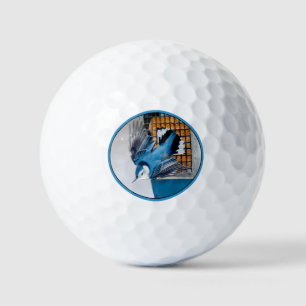 Balles De Golf Sittelle à Poitrine Blanche dans la Neige - Photo 