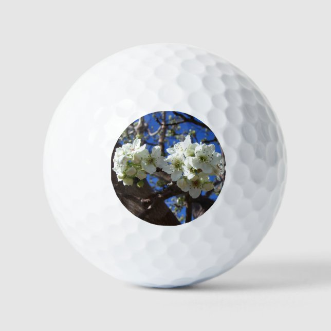 Balles De Golf Spring Flowering Pear Tree (Recto)
