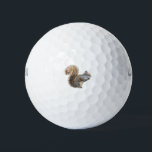 Balles De Golf Squirrel Cutie<br><div class="desc">Squirrel Cutie est une illustration de peinture à l'aquarelle de l'artiste Irina Sztukowski.</div>