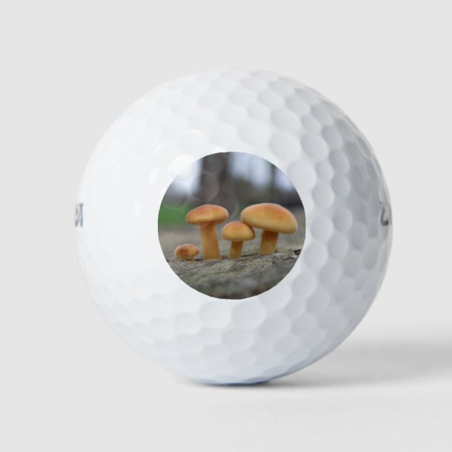 Balles De Golf Tabourets Toadstools Macro Golf Ball (Devant)