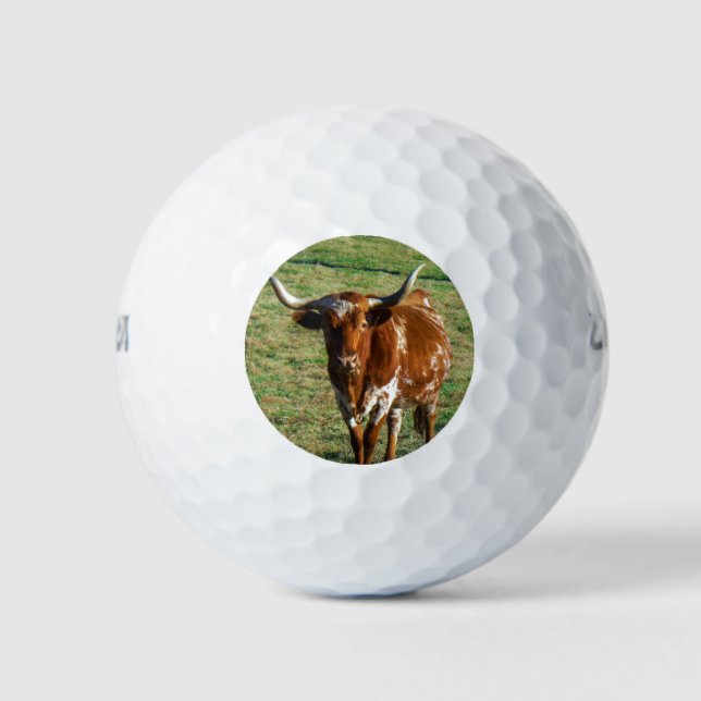 Balles De Golf Texas Longhorn Cattle Cow Photo Russe (Devant)