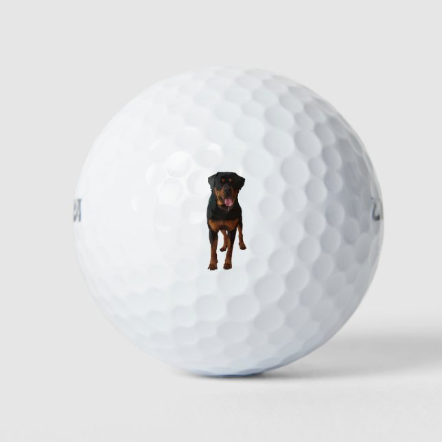 Balles De Golf The Rottweiler (Devant)