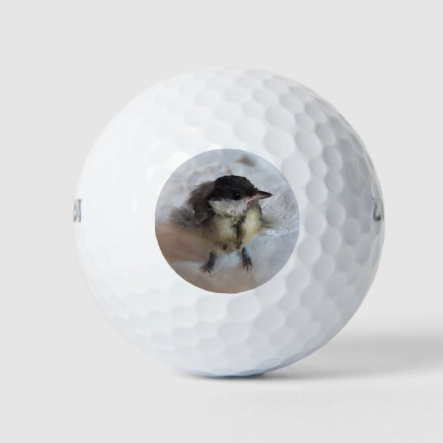 Balles De Golf Tidi my Bird le Parus Major (Devant)