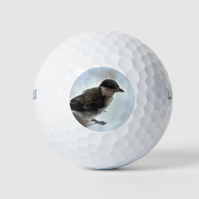 Balles De Golf Tidi my Bird le Parus Major (Devant)