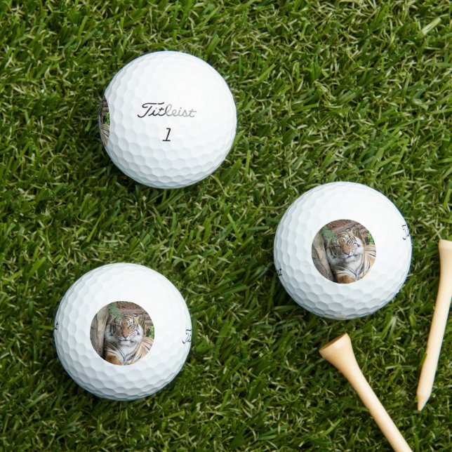 Balles De Golf Tigre 005 (Herbe in situ)