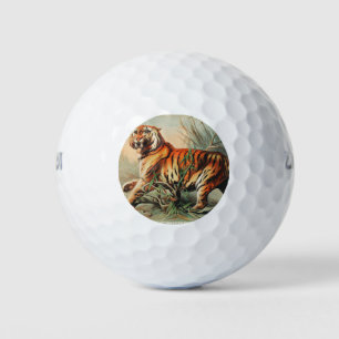 Balles De Golf Tigre royal du bengale   Année du tigre 2022