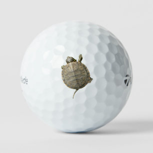 Balles De Golf Tortue minuscule (Tortue)