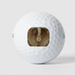 Balles De Golf Trophée de cerf Balls de golf