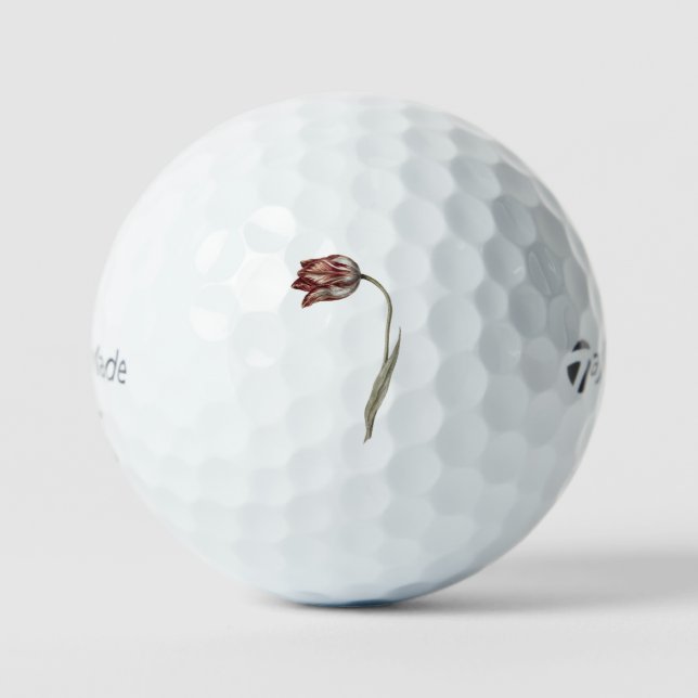 Balles De Golf Tulipe rose de Jean Bernard (1775-1883). (Recto)