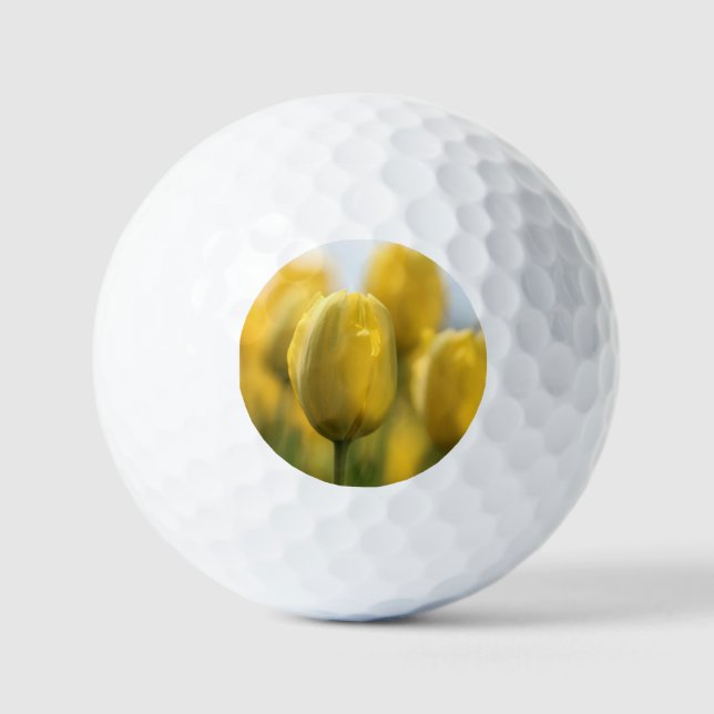 Balles De Golf Tulipes solaires (Recto)