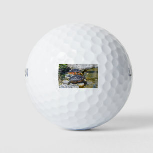 Balles De Golf Turtle Cute Animal Office Destin Personnalisé Dest