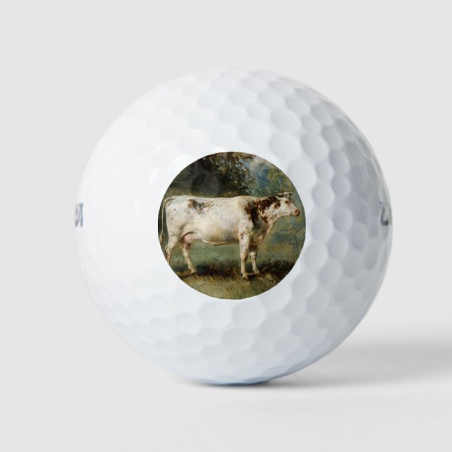 Balles De Golf Vache dans un paysage rural (animal de ferme) (Devant)