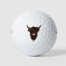 Vache des Highlands Écossaise