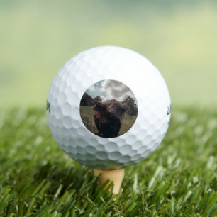Balles De Golf Vache écossaise de la région montagneuse noire pât