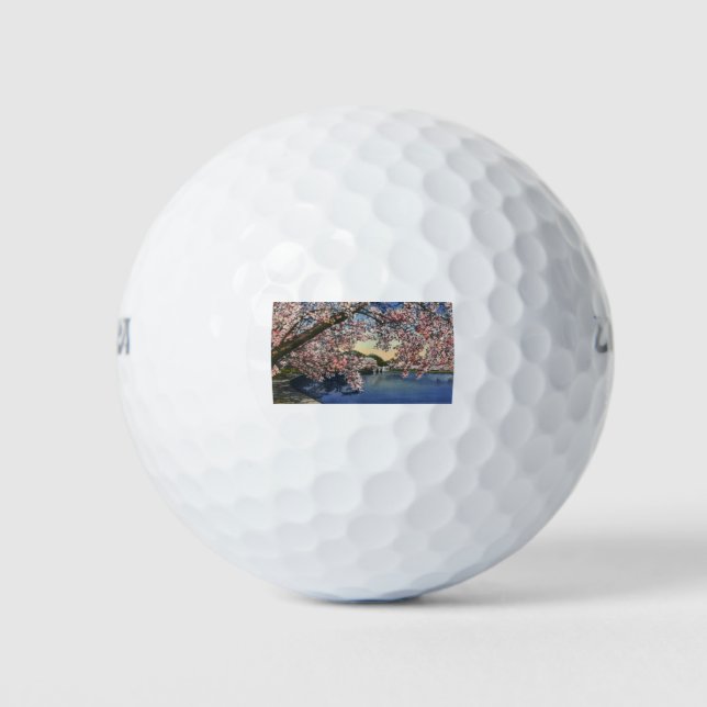 Balles De Golf Vasière PAU43.tif (Devant)