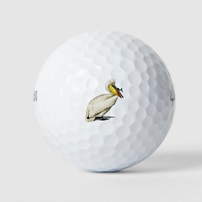 Balles De Golf Vintage pelican bird Illustration (Devant)